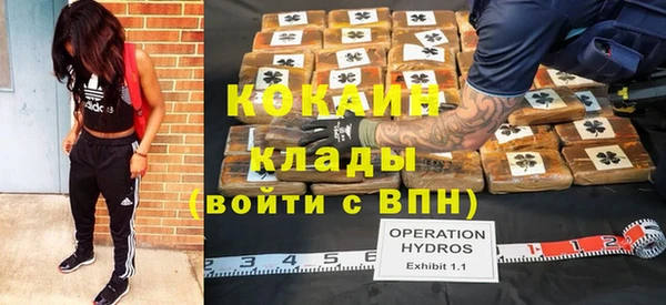 mix Бородино