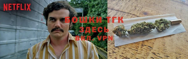 mix Бородино