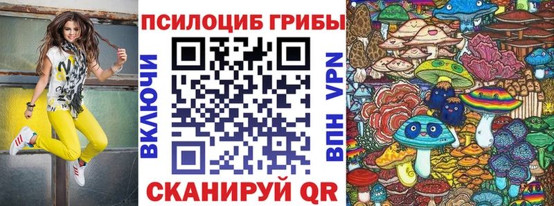 купить   Муравленко  ОМГ ОМГ рабочий сайт  Псилоцибиновые грибы Cubensis 